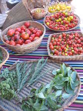 Market Stand