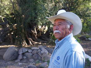 Jose Lino Bastida & of 300 year old olive tree