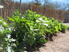 Garden in Agua Escondida