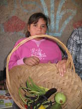 Basket of Veggies