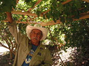 Memo Bastida with Oldest Grapevine