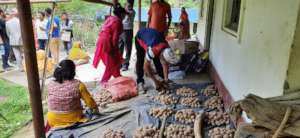 Preponderating to distribute food materials