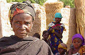 Combating Hunger via Livestock for Families, Niger