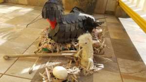 Sculpture of life cycle of Magnificent Frigatebird