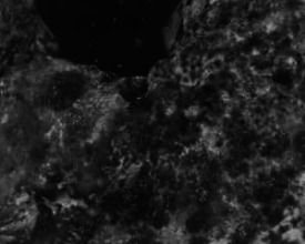 Infrared drone imagery over Battowia Island