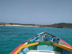Many boats were damaged by Beryl. (V. Thomas)
