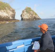 Viewing seabird colonies is a unique experience.