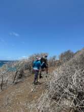 Habitat damaged by Hurricane Beryl.