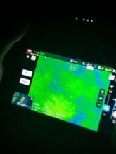 Light green dots show birds nesting. (J. Coffey)