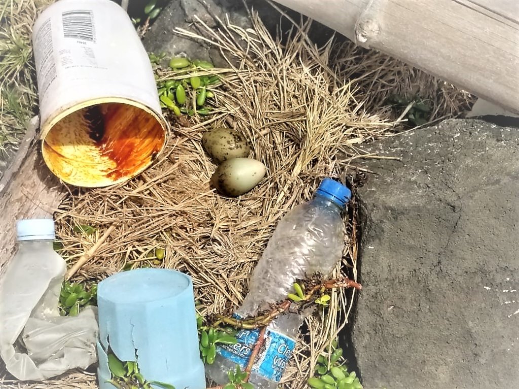 Plastic Nest