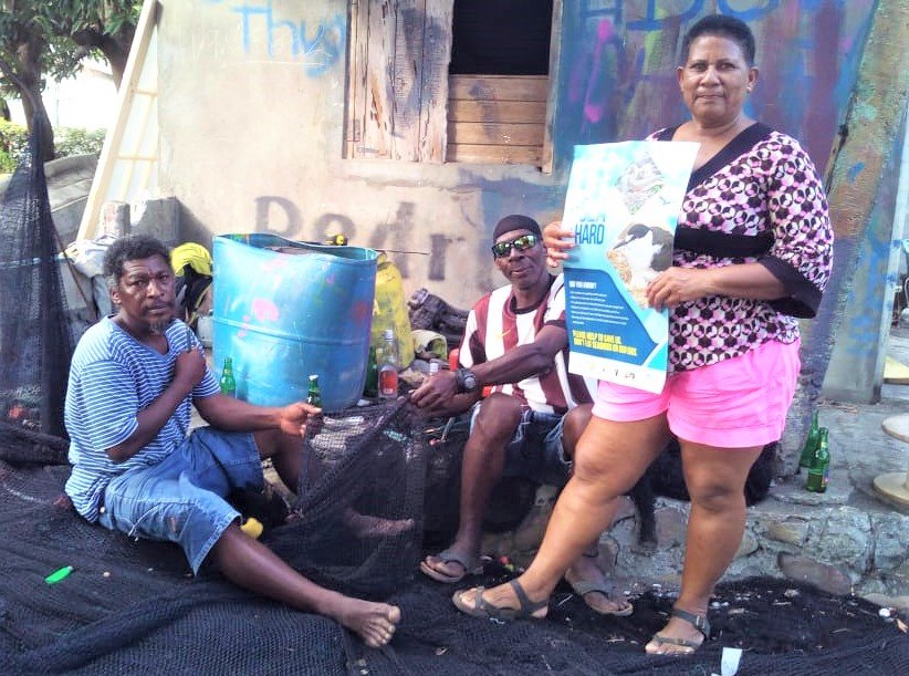 Protect Seabirds in the Caribbean