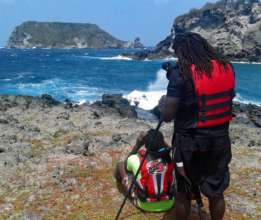 Keeping a watchful eye over seabird nests