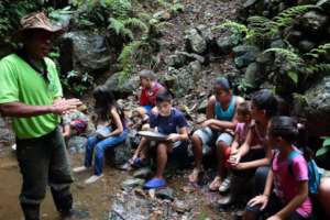 Children learning about the forest