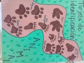 Children's drawings about animals footprints