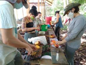 Agricultura Regenerativa