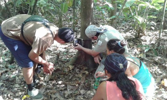 Children learning w/ parkrangers @ Corcovado