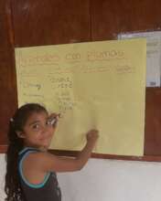 Learning about birds