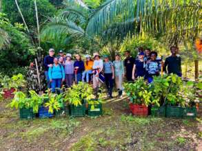 Reforestation campaigns