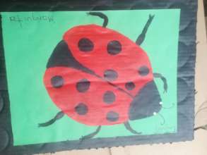 Learning about insects