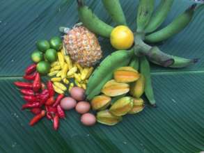 More variaty of products