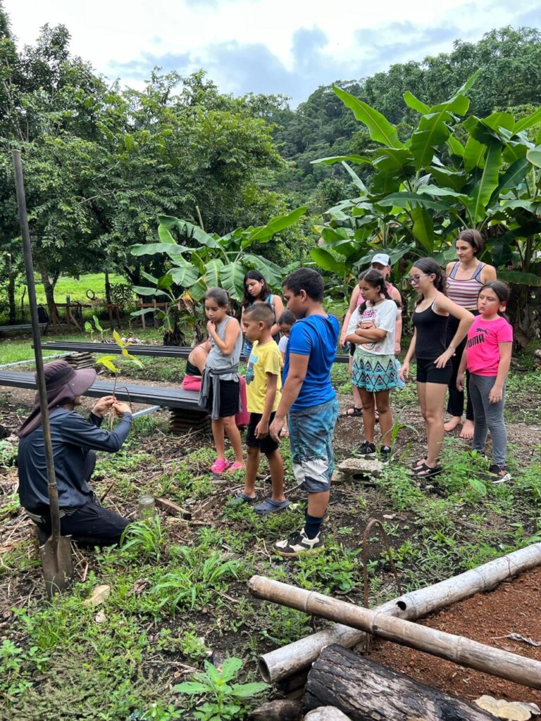 Building pollinator gardens