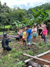 Building pollinator gardens