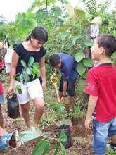 Children reforesting