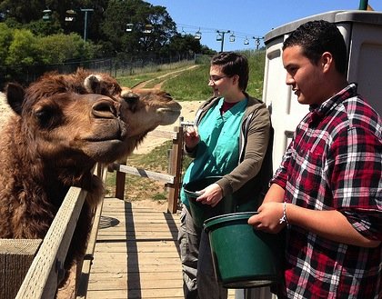 Empowering apprenticeships for middle schoolers