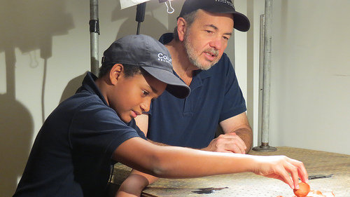 Empowering apprenticeships for middle schoolers