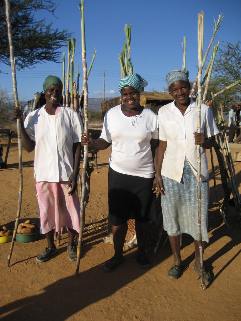 Reports on Rural Family Nutrition Initiative in Zimbabwe - GlobalGiving