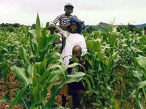Rural Family Nutrition Initiative in Zimbabwe