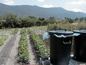 Rural Family Nutrition Initiative in Zimbabwe