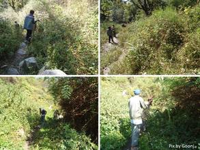 Cleaning of road-side bushes in village Naugaon