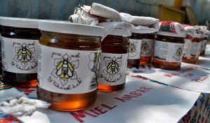 Honey collected in last year's harvest!