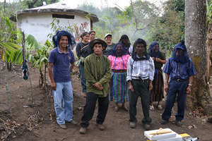 Returning from the hives!