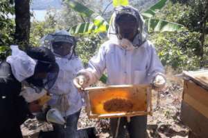 Juan holds a frame already 60% full of honey