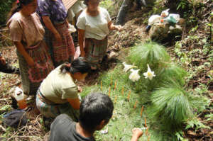 Beekeepers thanking a Mayan God for their harvest