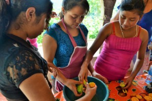 Learning to make food for the bees!