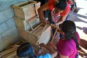 Building honey superboxes