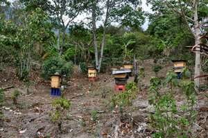 New bee hive boxes standing proudly in Panimaquip