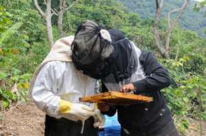 Genaro leads the hands-on portion of the training