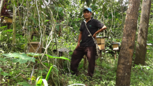 Genaro with the melipona hives