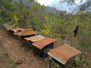 The group's growing apiary