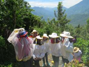 Peacework team visiting the apiary