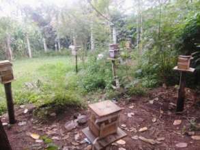 The new apiary built for native stingless bees