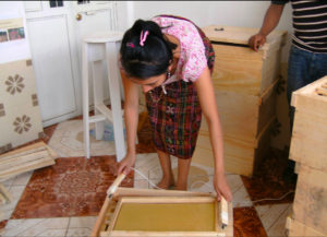 Building second stories for the beehives