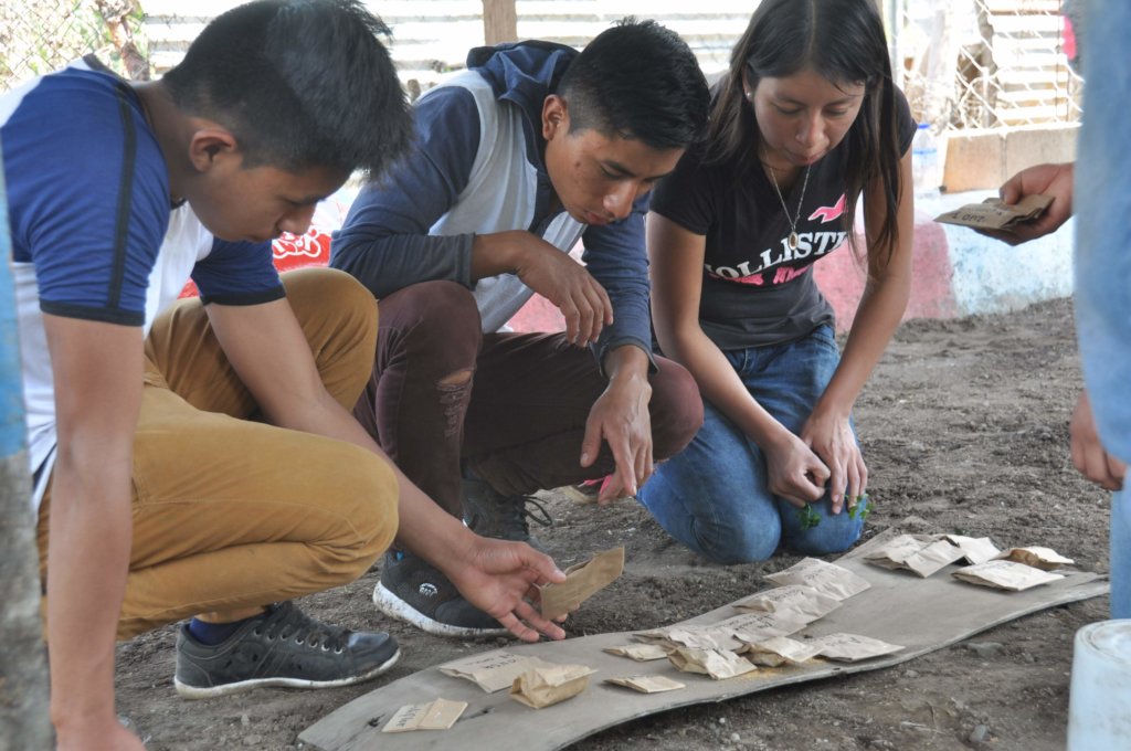 Support Sustainable Livelihoods in Rural Guatemala