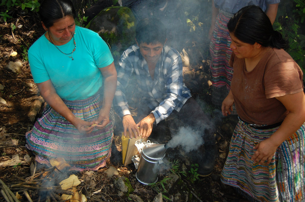 Support Sustainable Livelihoods in Rural Guatemala