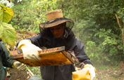 Support Sustainable Livelihoods in Rural Guatemala
