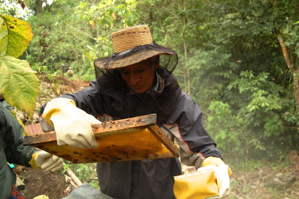 Support Sustainable Livelihoods in Rural Guatemala